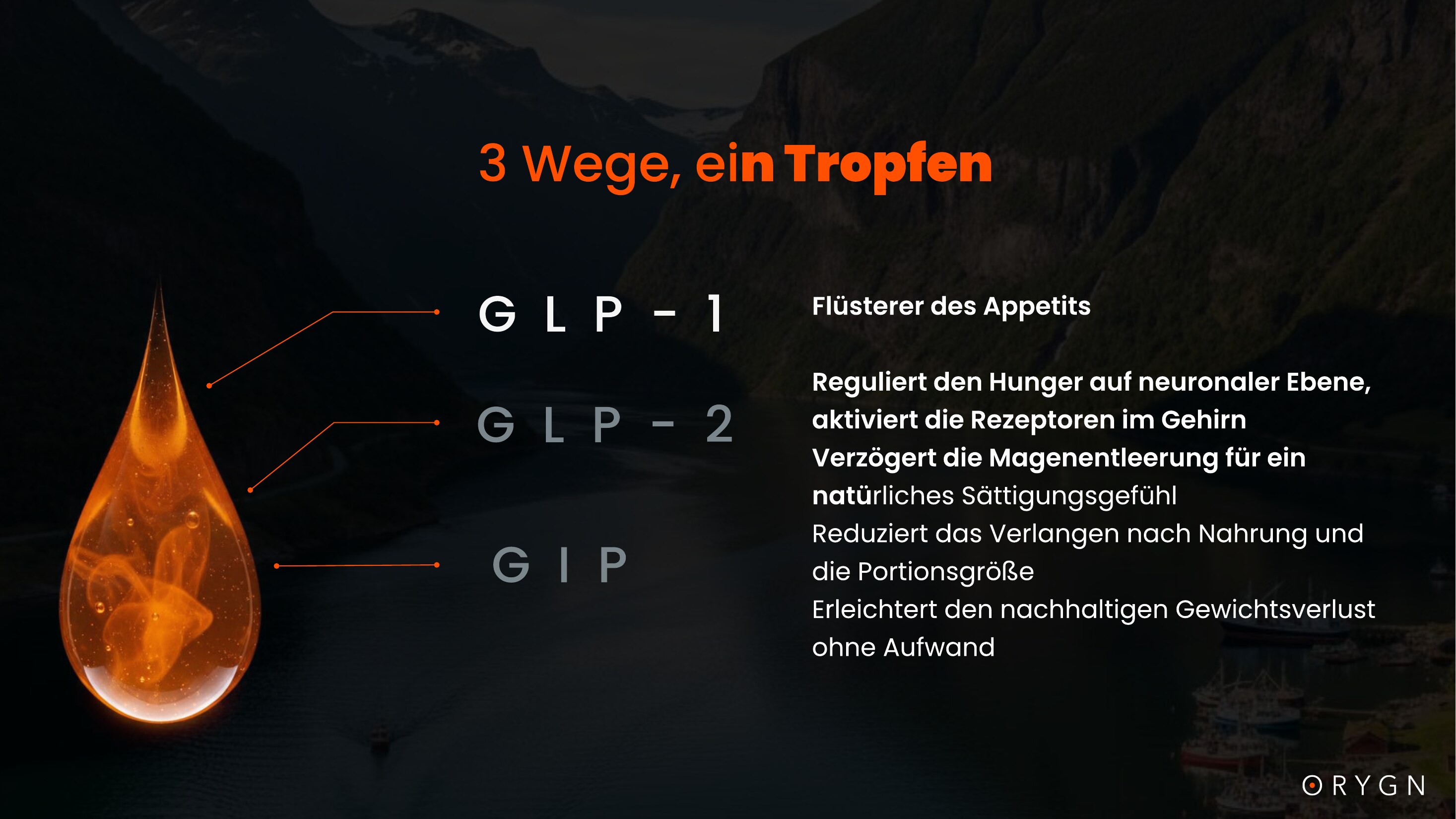 ORYGN Presentation — Danish (translated) — page 5 of 18