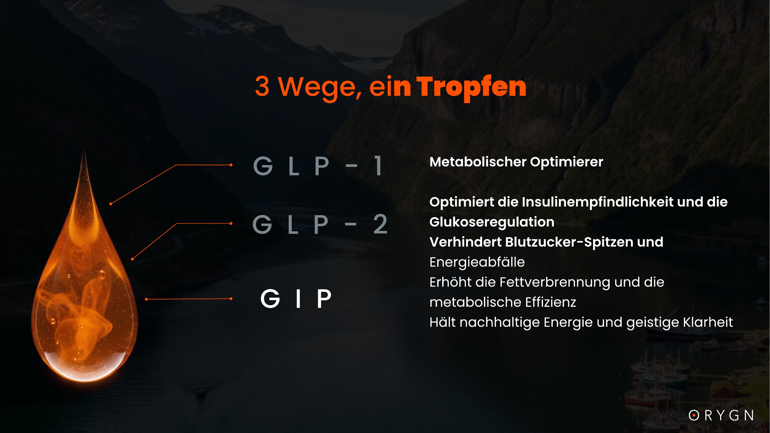 ORYGN Presentation — Danish (translated) — page 7 of 18