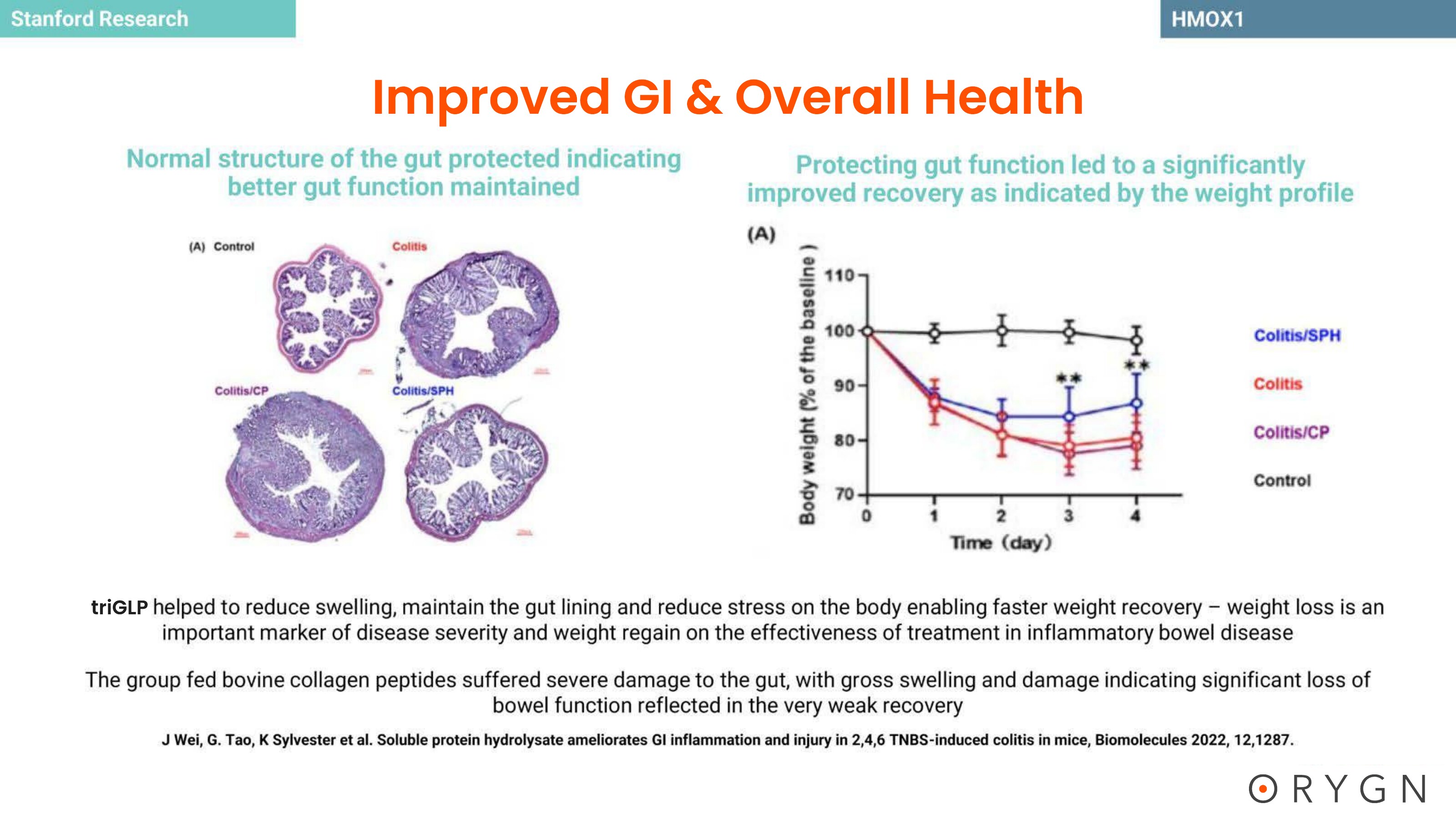triGLP Studies — page 22 of 23
